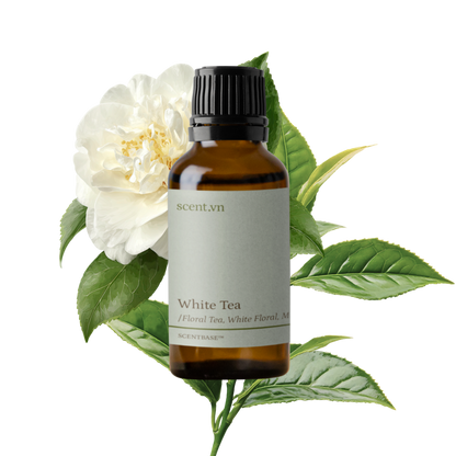 Hợp hương Trà Trắng - White Tea