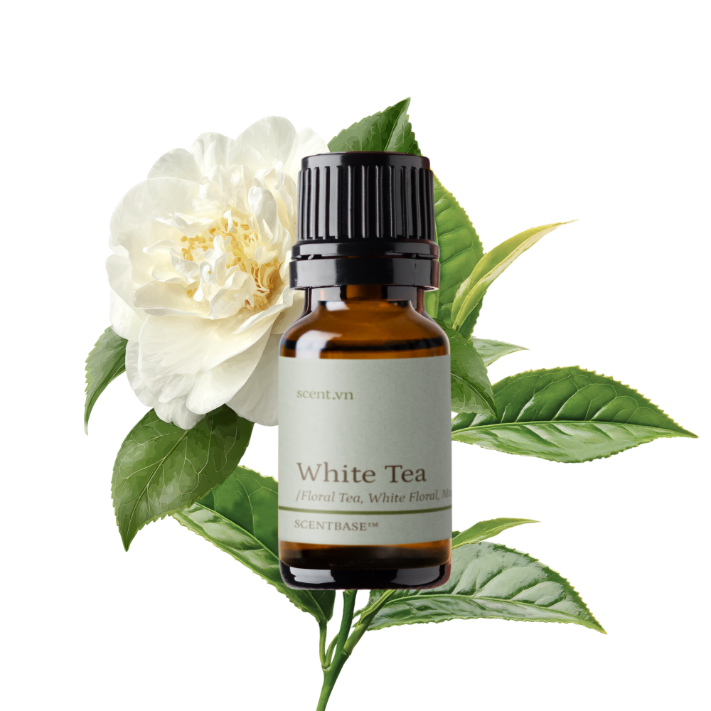 Hợp hương Trà Trắng - White Tea
