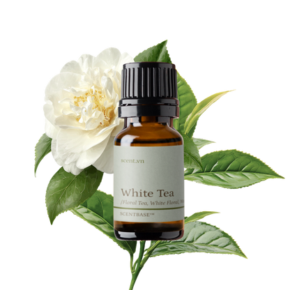 Hợp hương Trà Trắng - White Tea