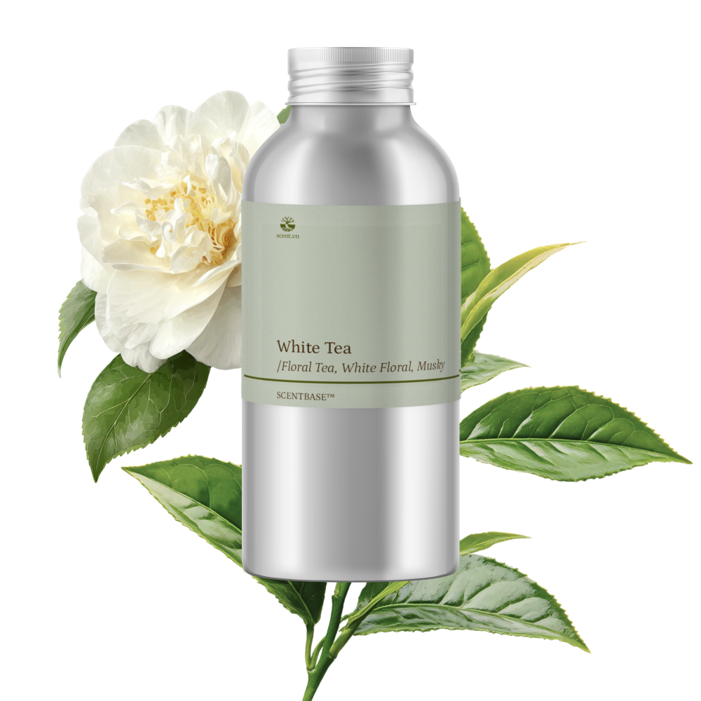 Hợp hương Trà Trắng - White Tea