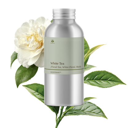 Hợp hương Trà Trắng - White Tea