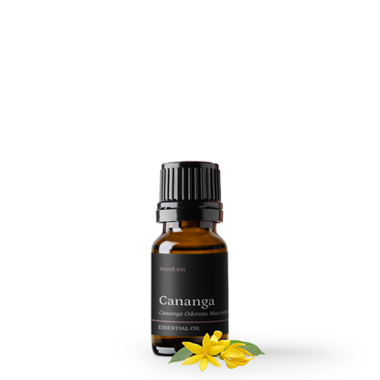 Cananga Essential Oil