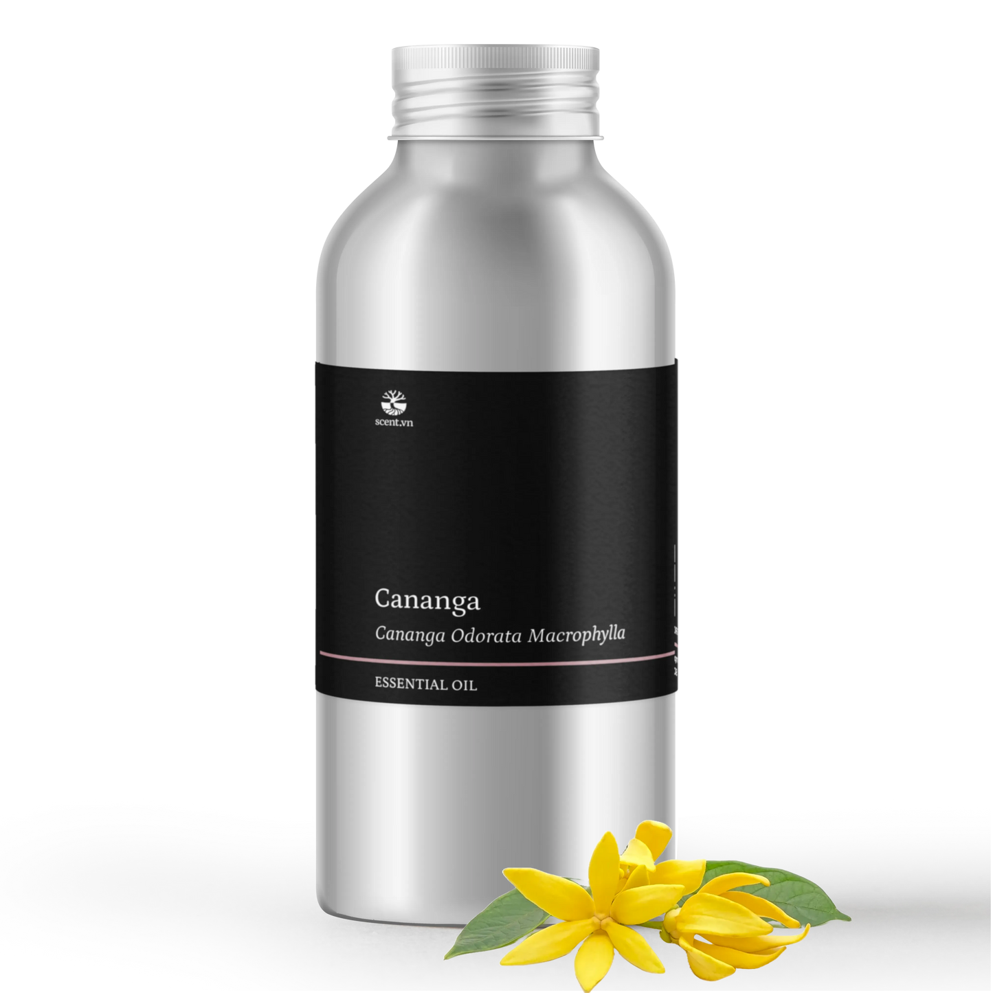 Cananga Essential Oil