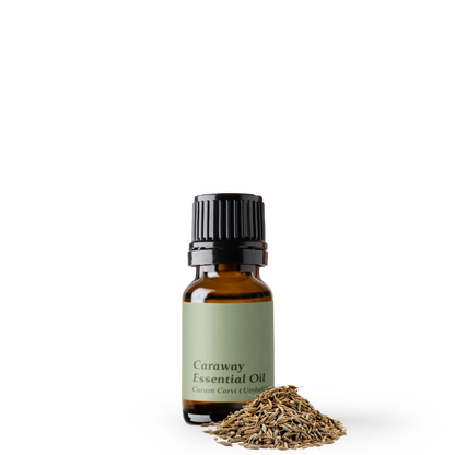 Caraway Essential Oil