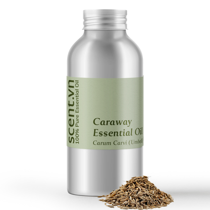 Caraway Essential Oil