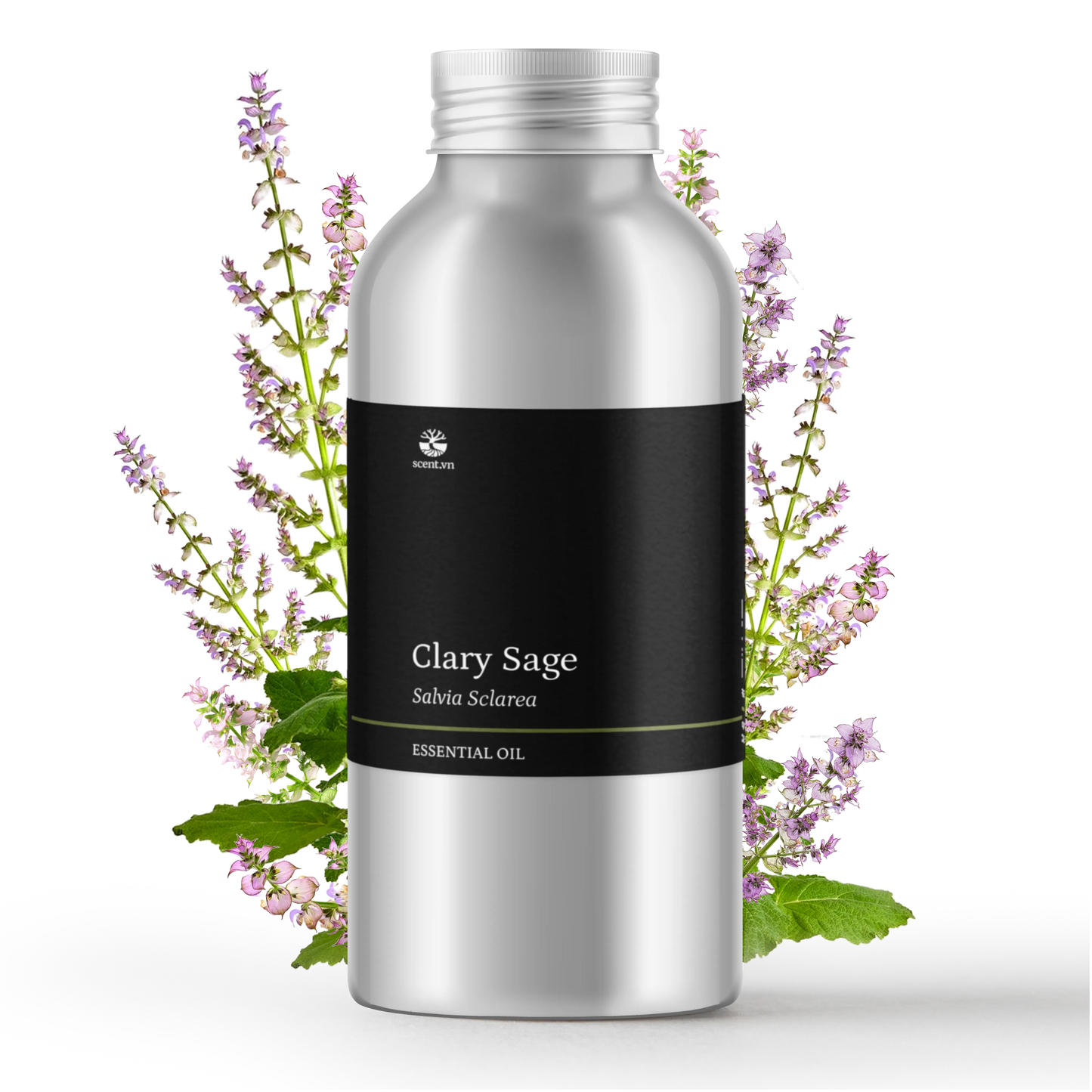 Tinh dầu Xô Thơm - Clary Sage