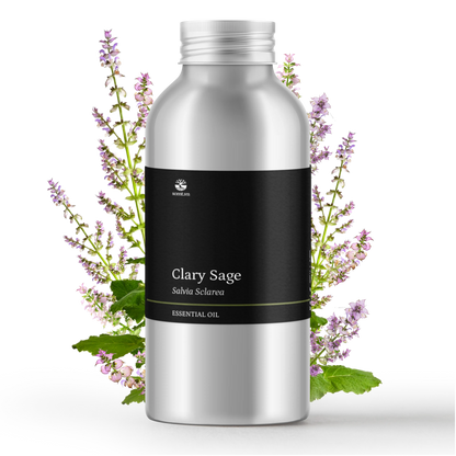 Tinh dầu Xô Thơm - Clary Sage