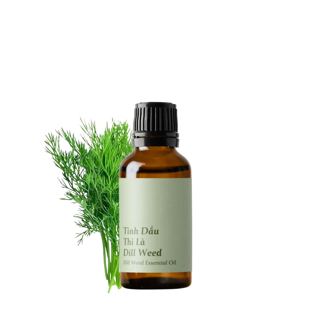 Dill Weed Essential Oil