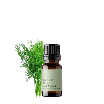 Dill Weed Essential Oil