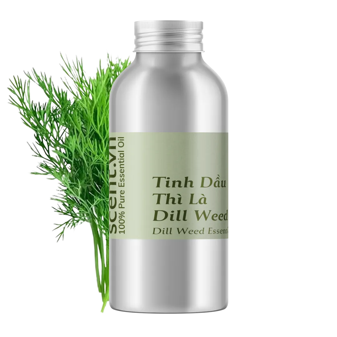 Dill Weed Essential Oil