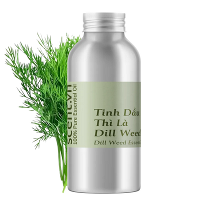 Dill Weed Essential Oil