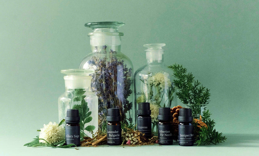 Fandom Scent Scent.vn - Essence of the Land - Crafted into Scents