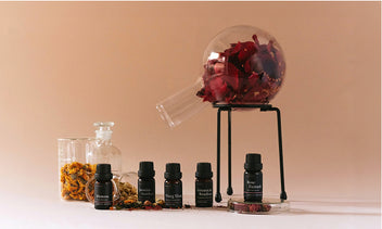 Solvents used in the fragrance industry