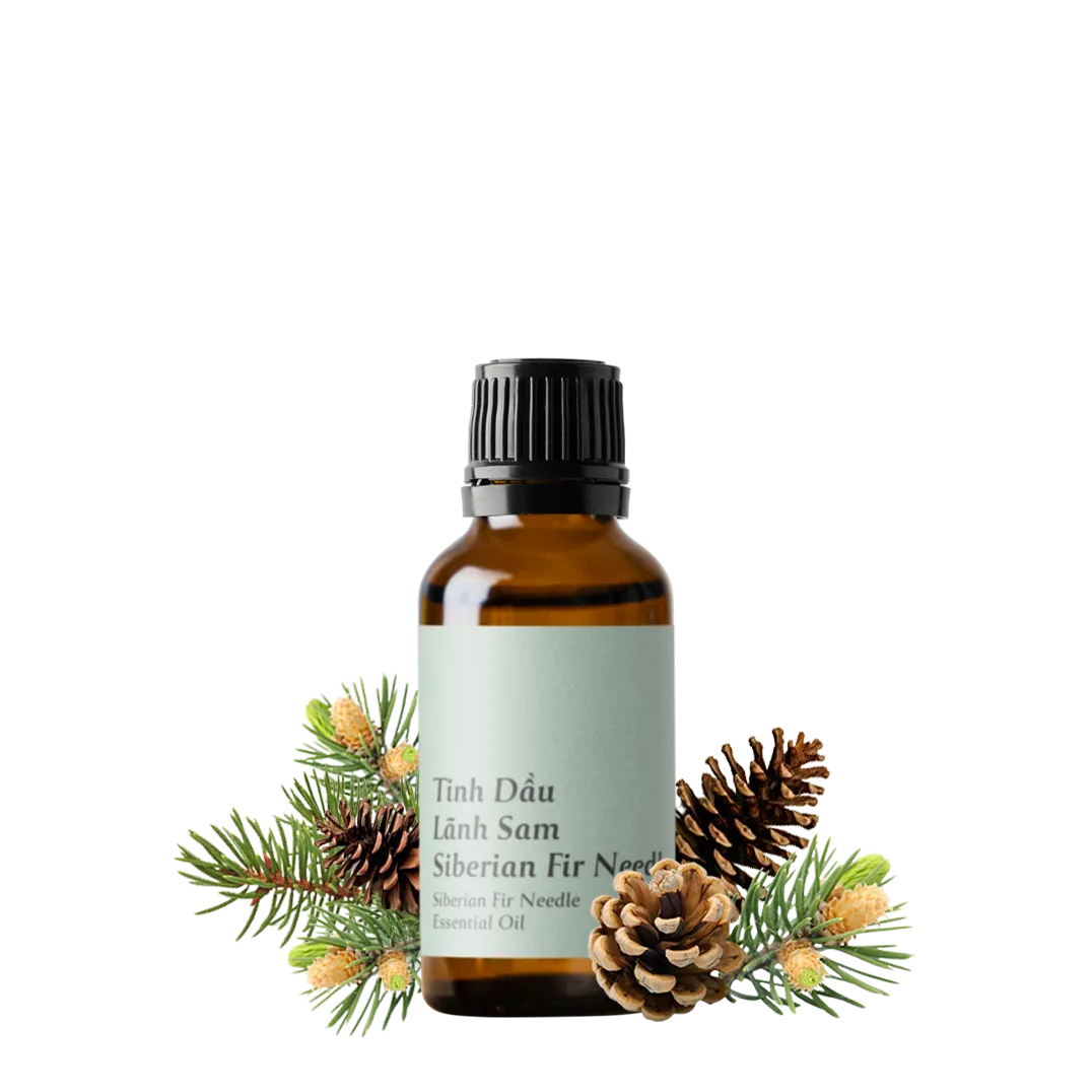 Siberian Fir Needle Essential Oil