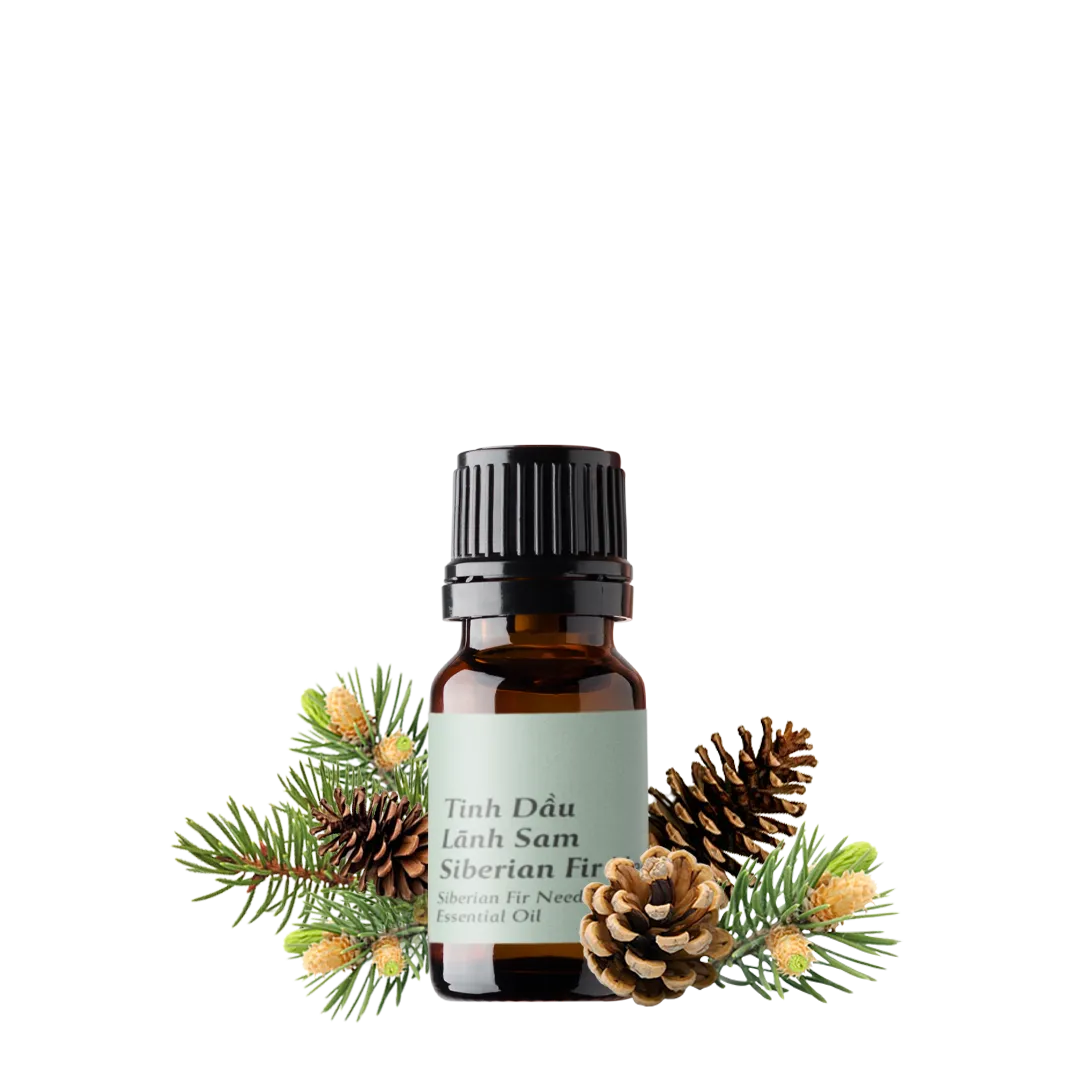 Siberian Fir Needle Essential Oil