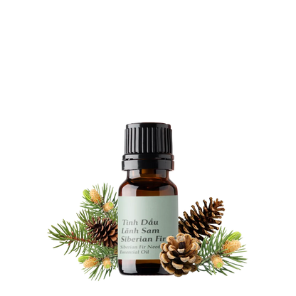 Siberian Fir Needle Essential Oil