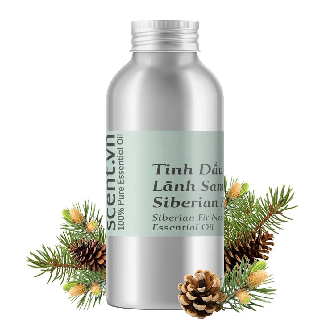 Siberian Fir Needle Essential Oil