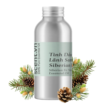 Siberian Fir Needle Essential Oil