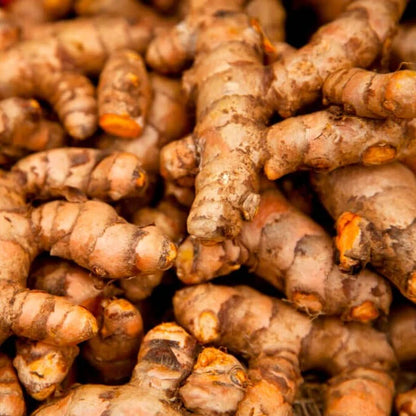 Tinh dầu Nghệ - Turmeric