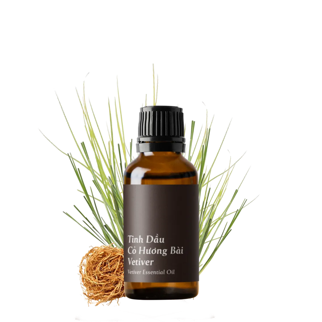 Tinh dầu Cỏ Hương Bài - Vetiver