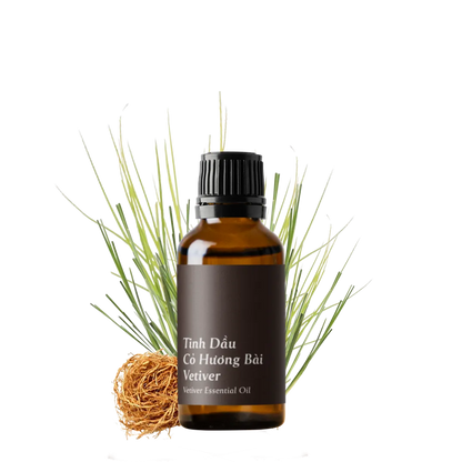 Tinh dầu Cỏ Hương Bài - Vetiver