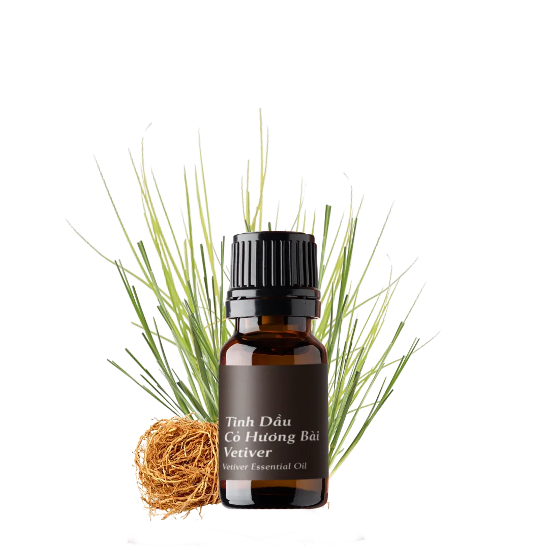 Tinh dầu Cỏ Hương Bài - Vetiver