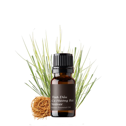 Tinh dầu Cỏ Hương Bài - Vetiver