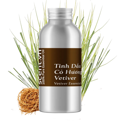 Tinh dầu Cỏ Hương Bài - Vetiver