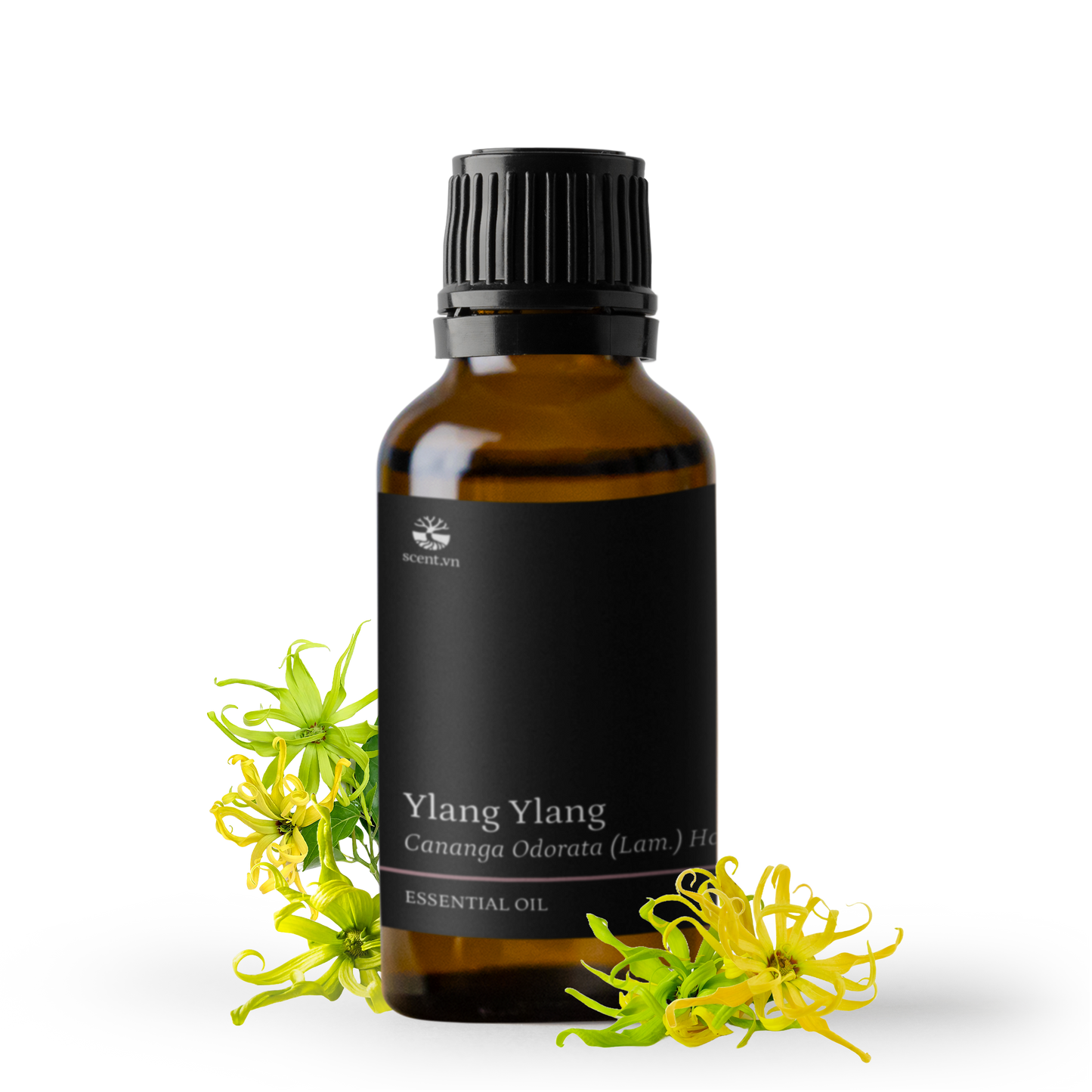 Ylang Ylang Complete Essential Oil