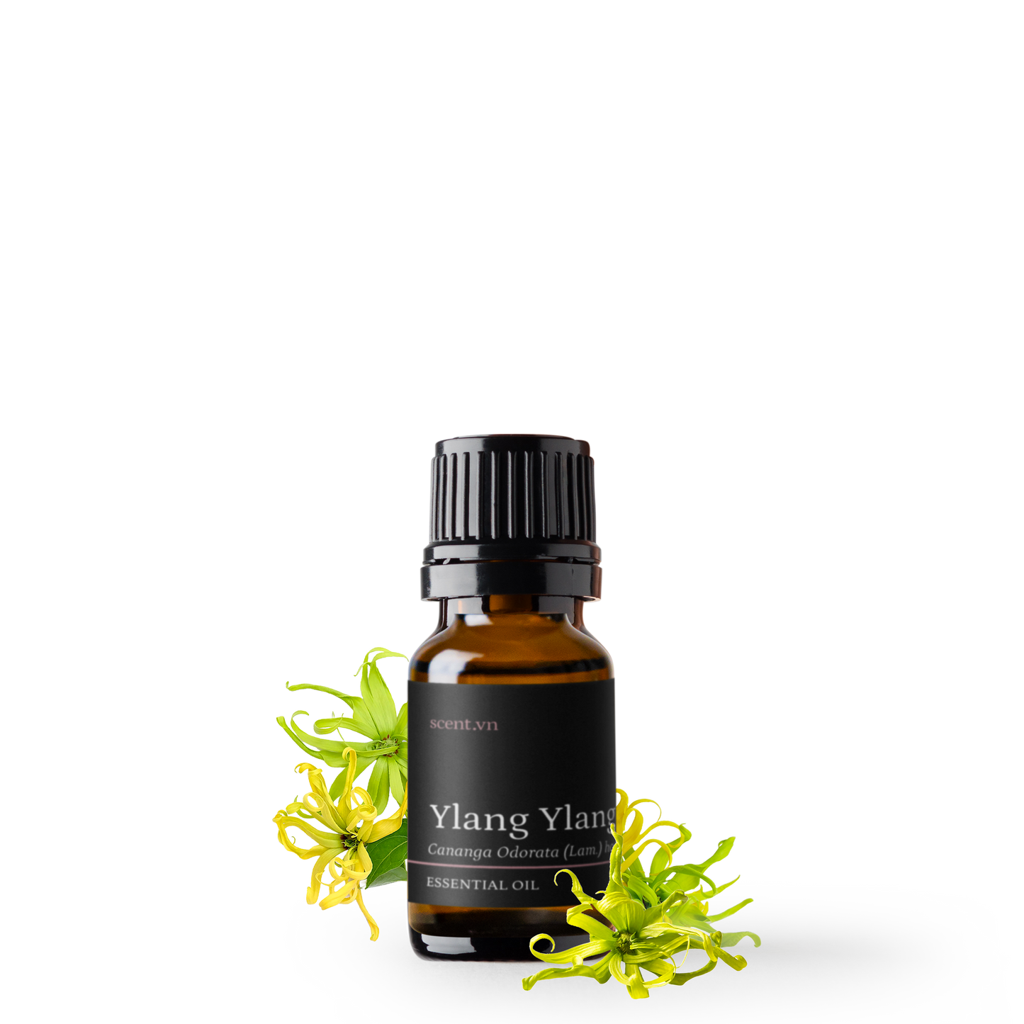 Ylang Ylang Complete Essential Oil