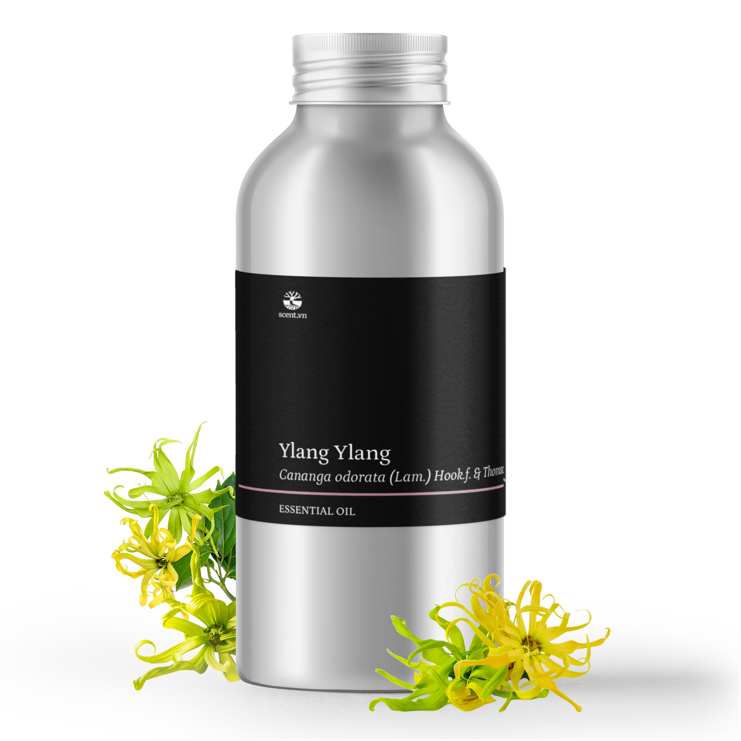 Ylang Ylang Complete Essential Oil
